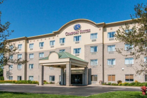  Comfort Suites Wixom / Novi  Виксом